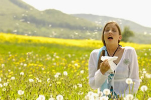 allergy-and-asthmacleaningtreatments