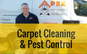 carpet-cleaning-pest-control